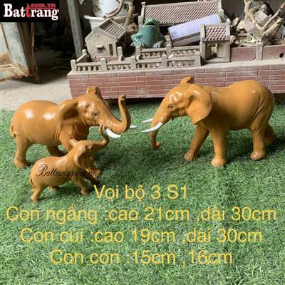 VOI BỘ 3 – S1 | BIỂU TƯỢNG MAY MẮN & SỨC MẠNH GIA ĐÌNH.